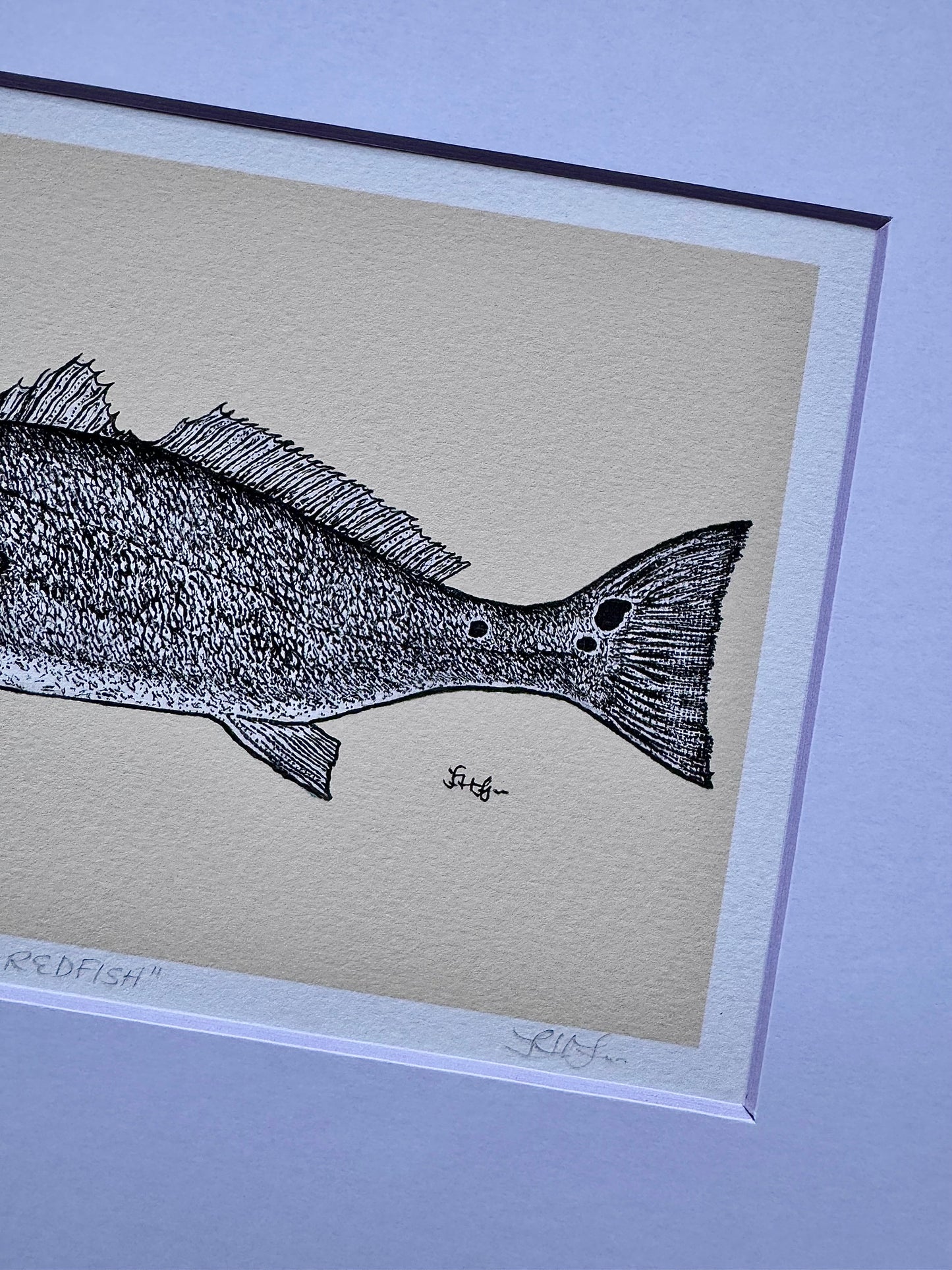redfish print