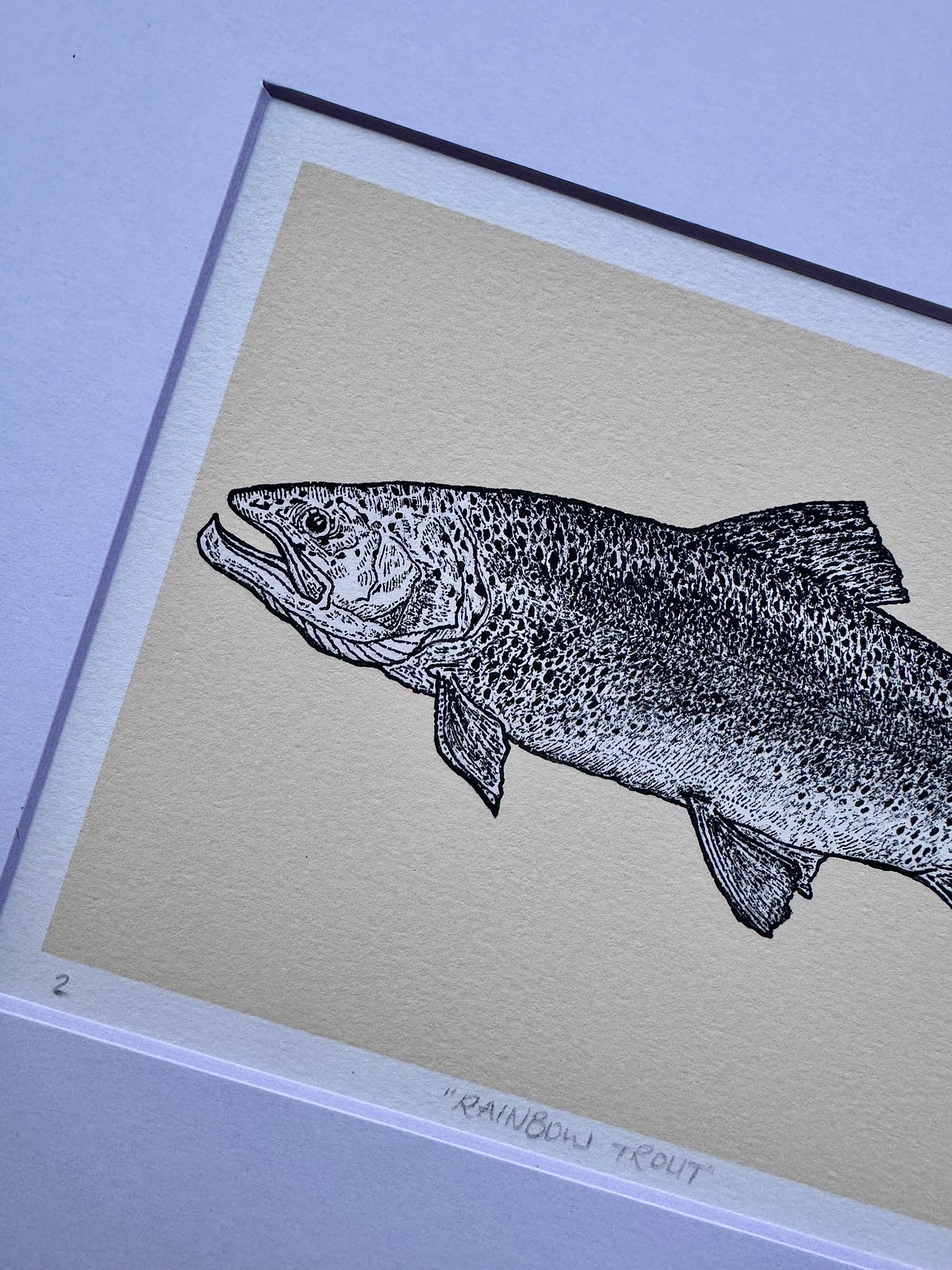 rainbow trout print