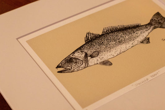 speckled trout print