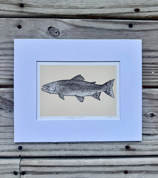 rainbow trout print