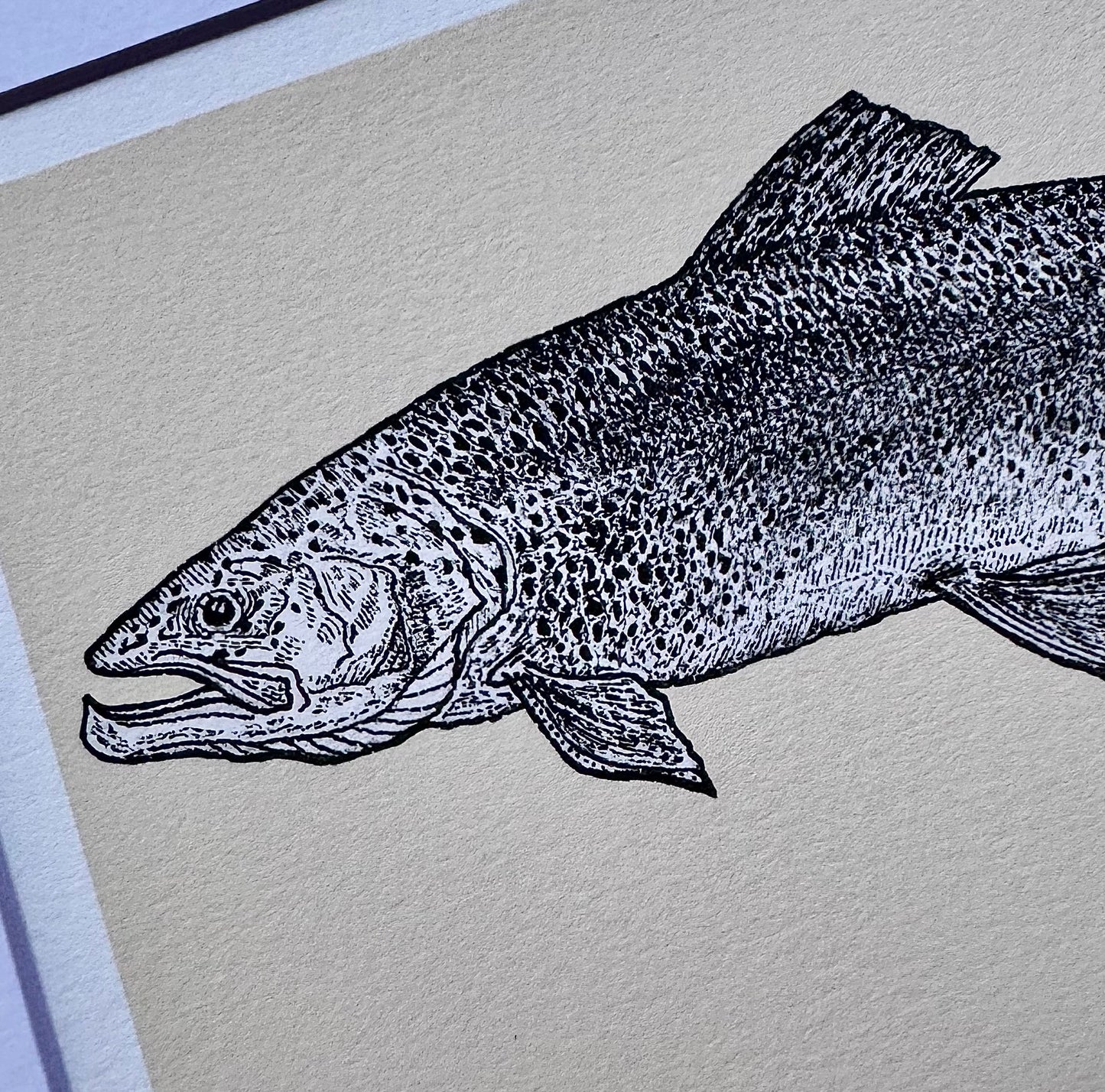 rainbow trout print