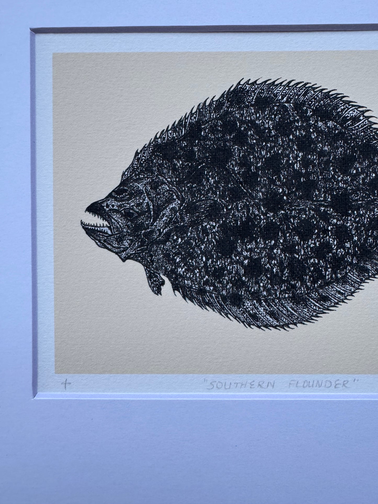southern flounder print