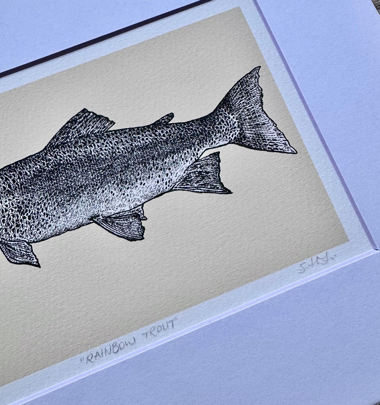 rainbow trout print
