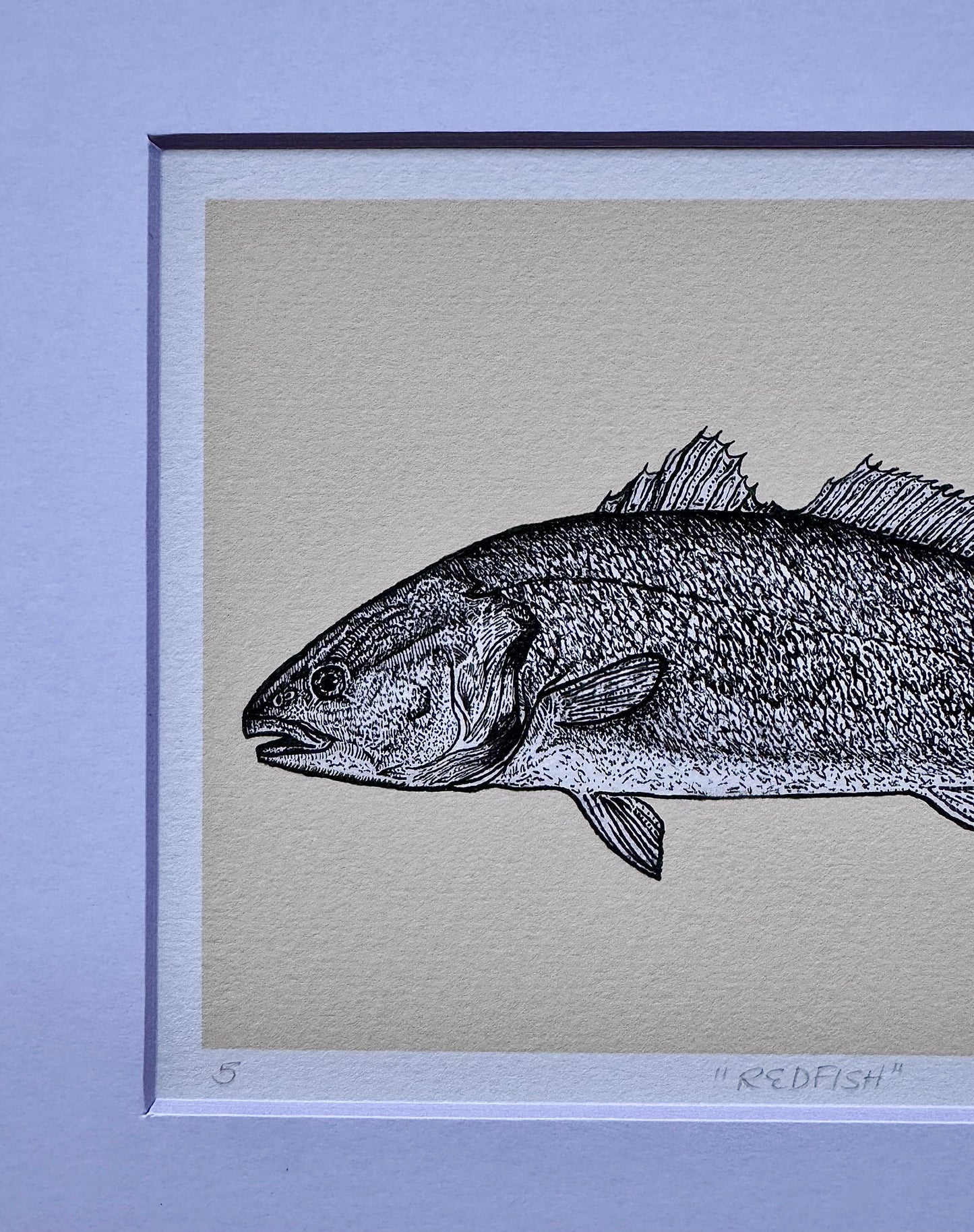 redfish print