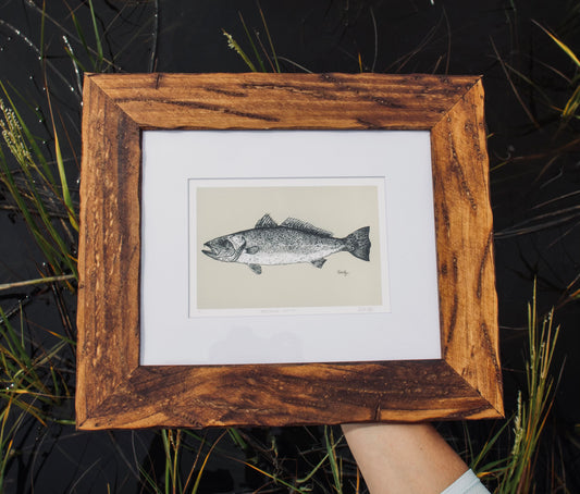 speckled trout print